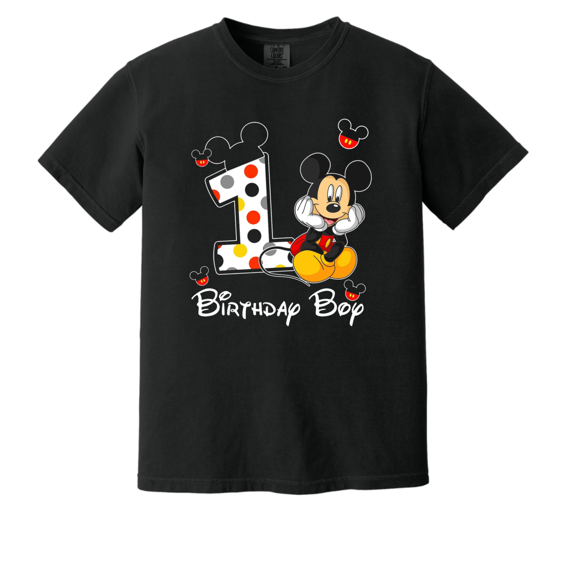 Mickey Mouse 1st Birthday Family Shirts, Iron On Heat noahs ark boxs baby